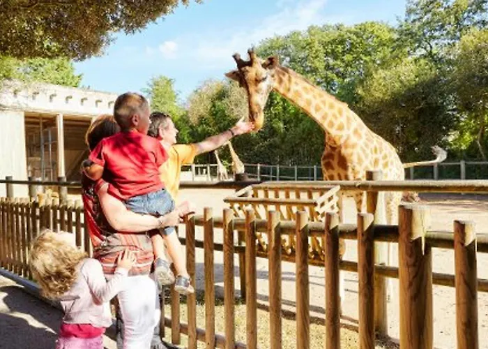 Apartamento Lumineux Proche Et Commerces - Fr-1-92-956 Les Sables-dʼOlonne